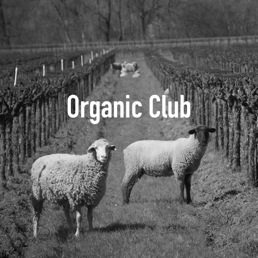 Organic Wine Club