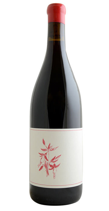 Arnot-Roberts Pinot Noir Heaven & Earth Vineyard Sonoma Coast 2023