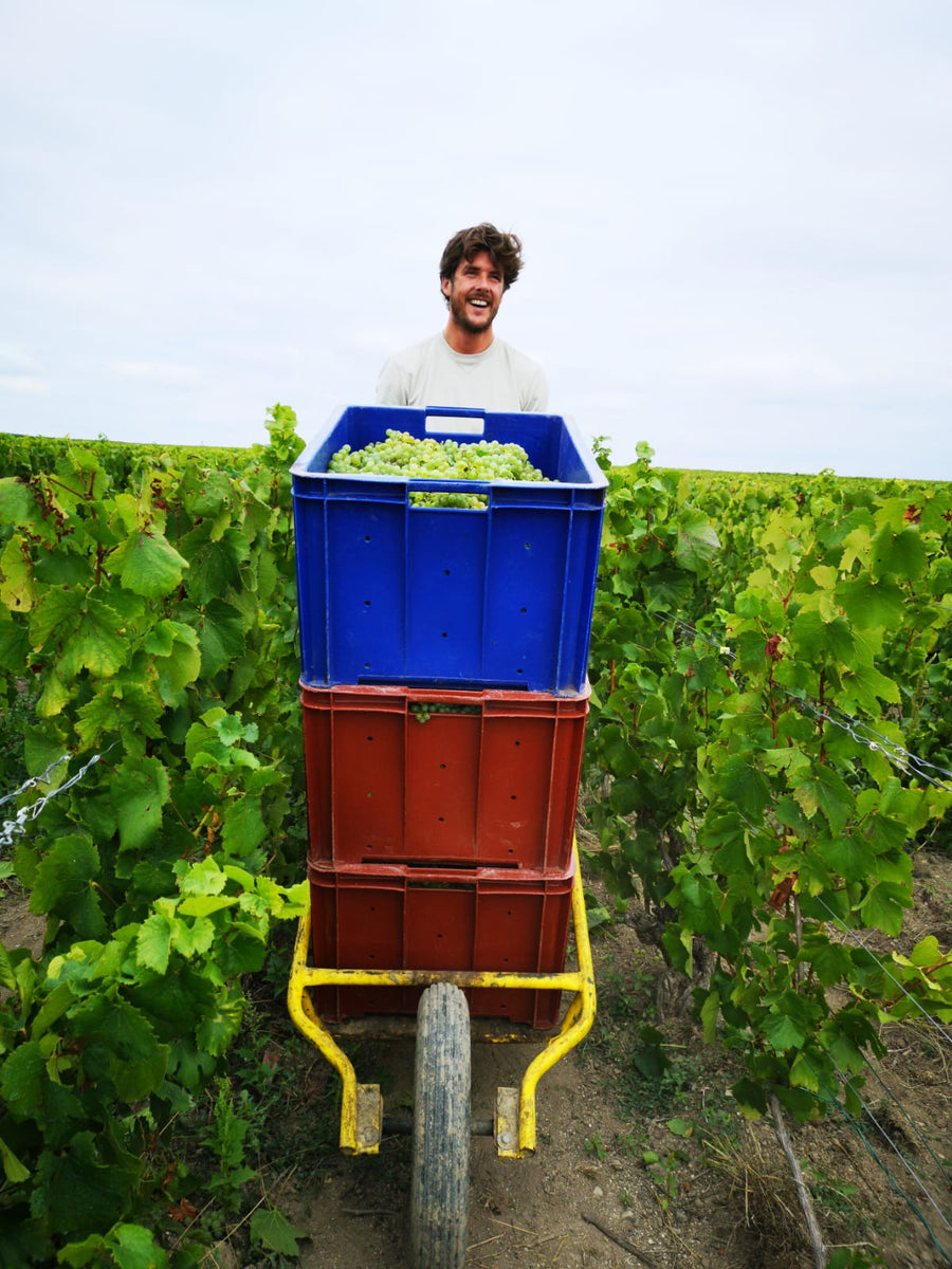 Bruno Paillard Champagne Tasting · October 21 · 6:30–8:30 PM