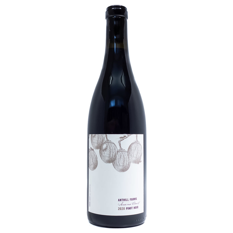 Anthill Farms Anderson Valley Pinot Noir 2020
